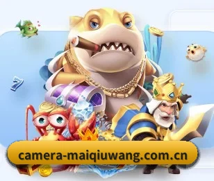 平台简介